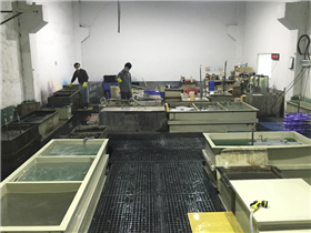 Surface treatment - anodizing workshop